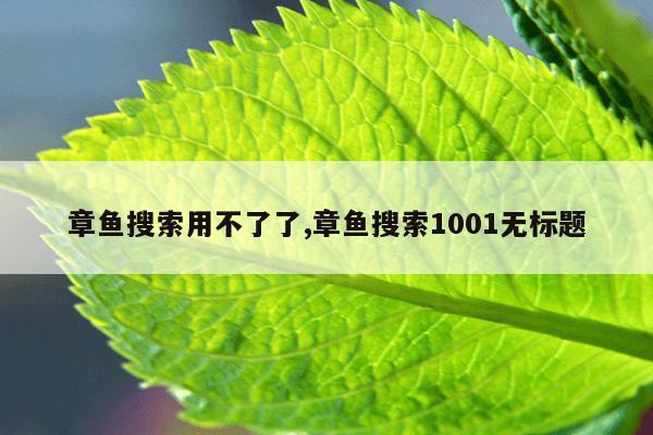 离心泵跟磁力泵有啥区别,磁力离心泵原理图视频