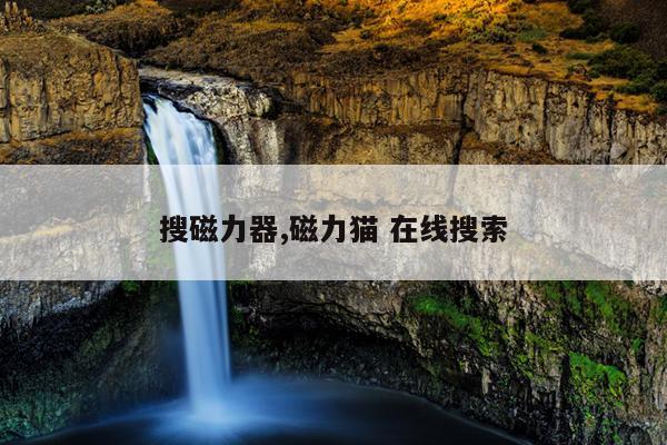 电机强磁铁多少钱一斤,电机磁铁多少钱一斤回收