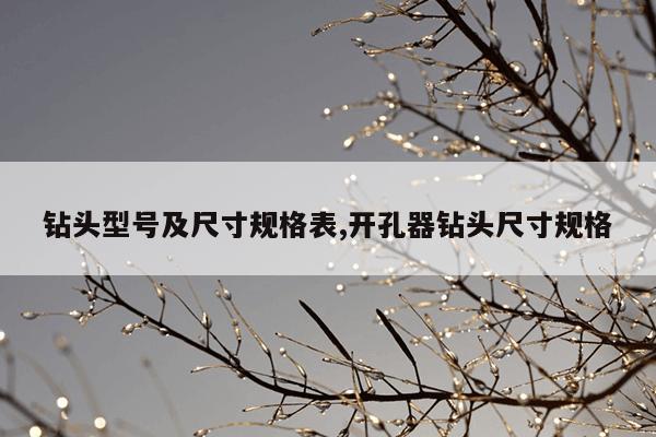 猫搜索最新版,猫搜索最新版本下载