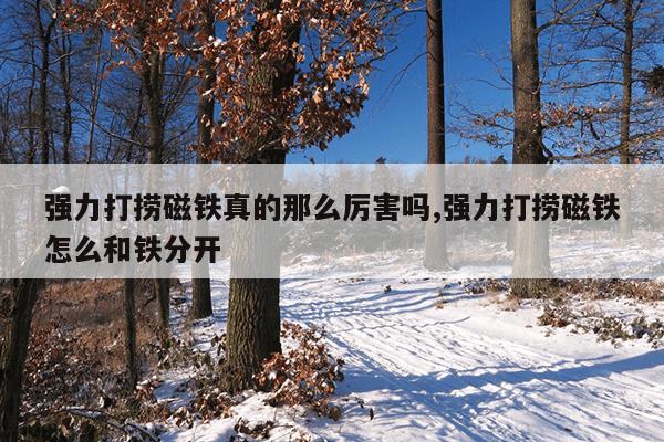 打捞强磁铁什么牌子好,打捞用的强磁