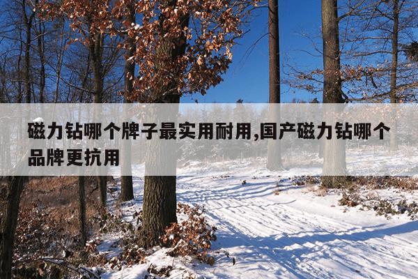 强力打捞磁铁真的那么厉害吗,强力打捞磁铁怎么和铁分开